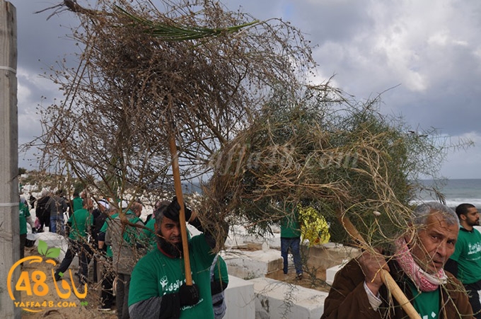 tasoo kazakhana (25).JPG